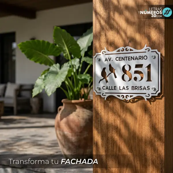 Coleccion Contemporanea-18