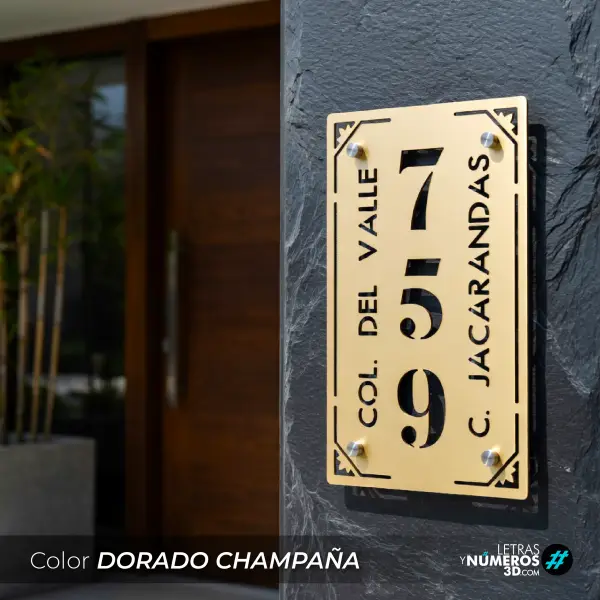 Coleccion Contemporanea-19